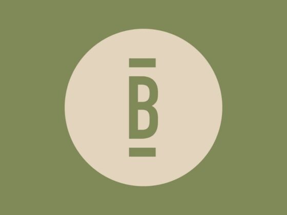 Danny Bonnici Jamie Stevens EP website