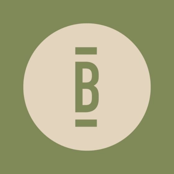 Danny Bonnici Jamie Stevens EP website